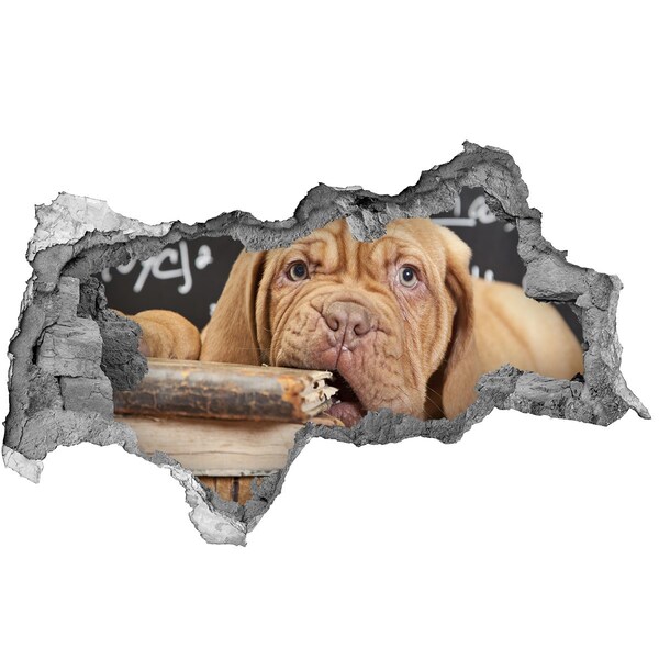 3d-s lyukat fali matrica Egy édes kiskutya a könyvek között