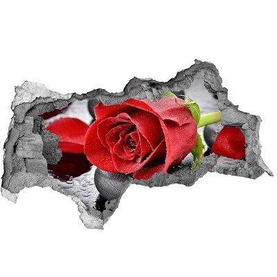 3d-s lyukat fali matrica Vörös rózsa