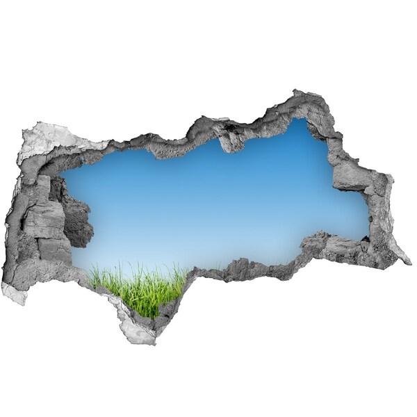 3d-s lyukat fali matrica Zöld rét kék ég alatt