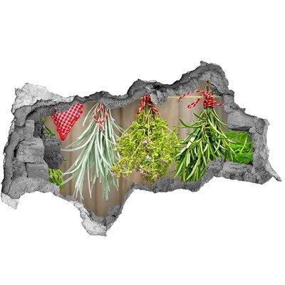 3d-s lyukat fali matrica Romokban álló gyógynövénykert