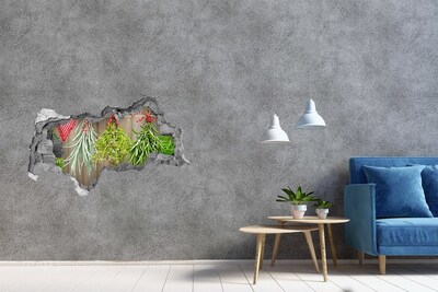 3d-s lyukat fali matrica Romokban álló gyógynövénykert