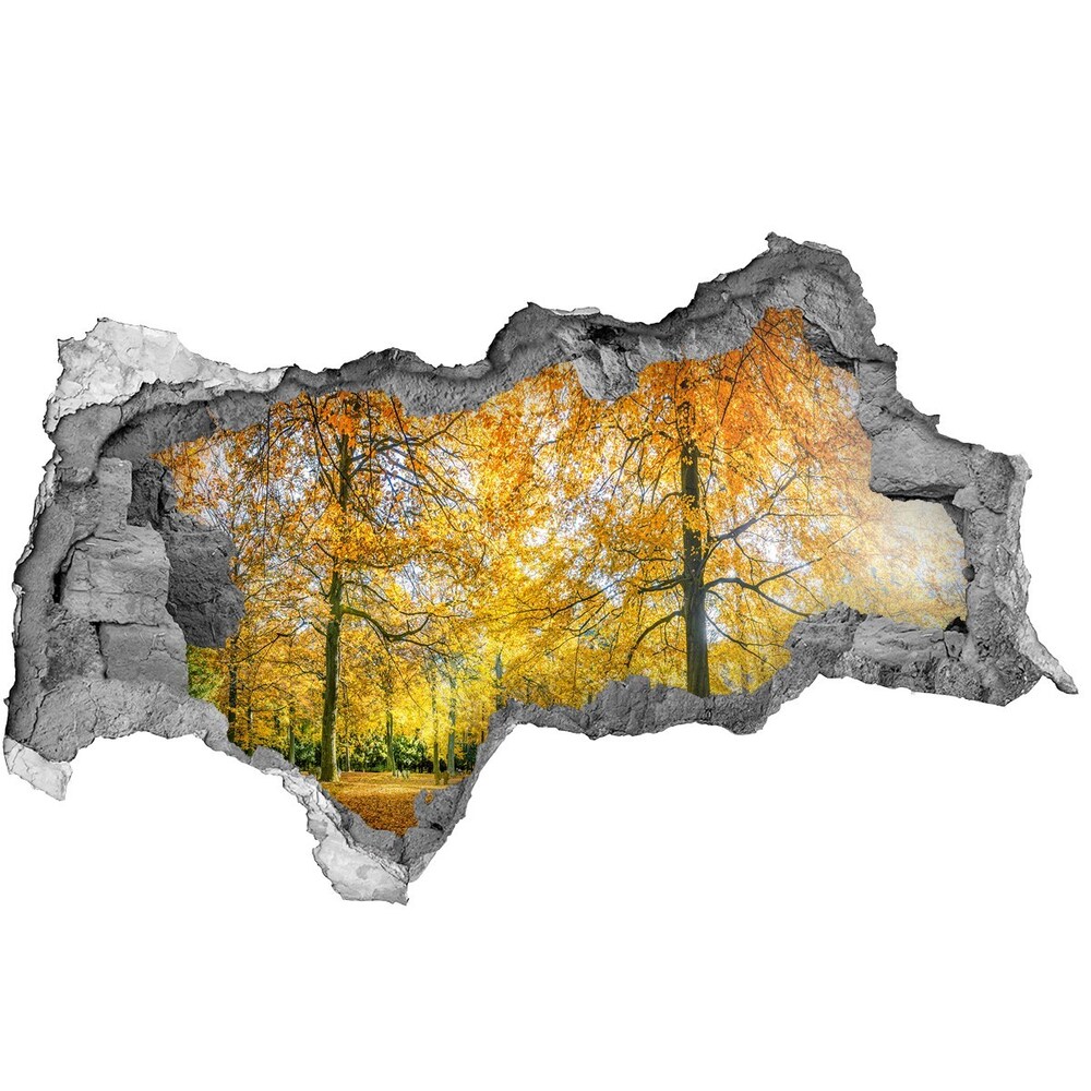 3d-s lyukat fali matrica Erdő ősszel