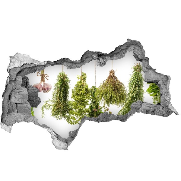 3d-s lyukat fali matrica Romokban álló gyógynövénykert