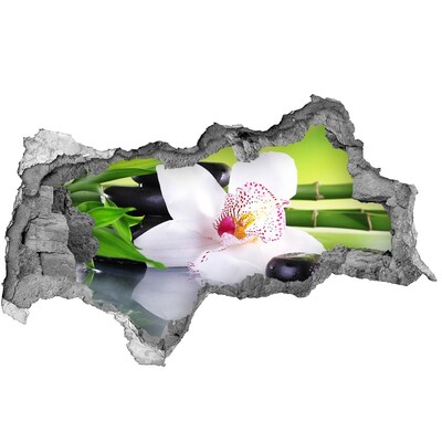 3d-s lyukat fali matrica A béke virágos oázisa