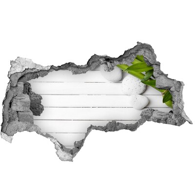 3d-s lyukat fali matrica Egy zöld oázis betonban