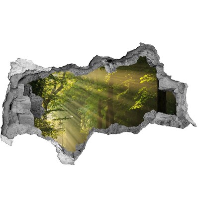 3d-s lyukat fali matrica Erdei Fényoázis