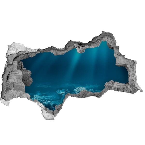 3d-s lyukat fali matrica A korallok víz alatti világa