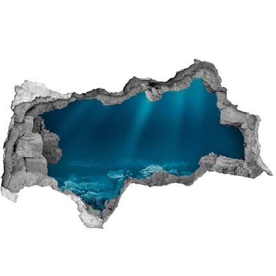 3d-s lyukat fali matrica A korallok víz alatti világa
