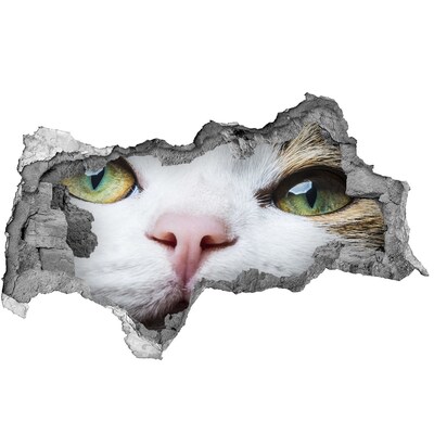 3d-s lyukat fali matrica A macska a falban