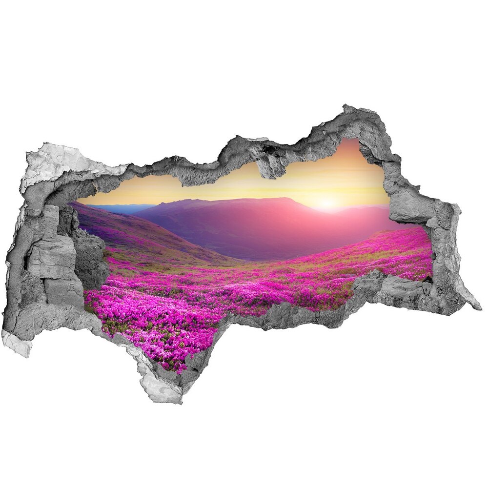 3d-s lyukat fali matrica Rózsaszín domb