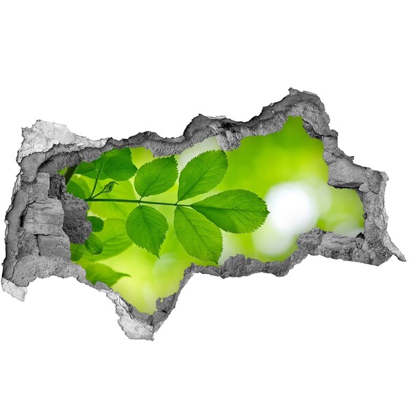 3d-s lyukat fali matrica Egy zöld oázis betonban