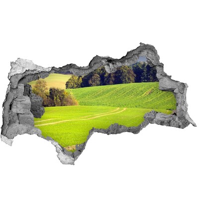 3d-s lyukat fali matrica Zöld rét a fal mögött