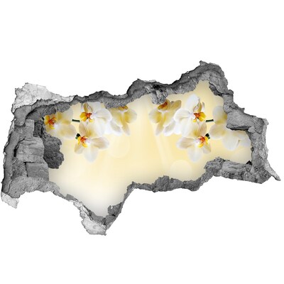 3d-s lyukat fali matrica Virágos oázis a fal mögött