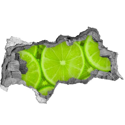3d-s lyukat fali matrica Limes