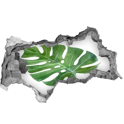 3d-s lyukat fali matrica Monstera