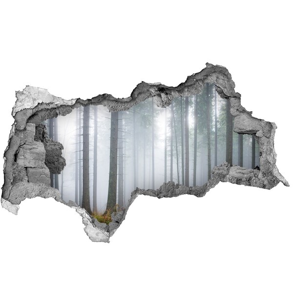 3d-s lyukat fali matrica Ködös erdő
