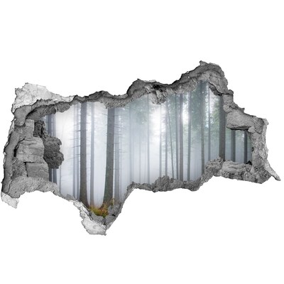 3d-s lyukat fali matrica Ködös erdő