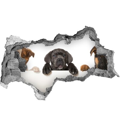 3d-s lyukat fali matrica Három kölyök
