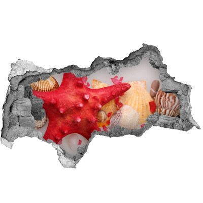 3d-s lyukat fali matrica Víz alatti világ kagylókkal