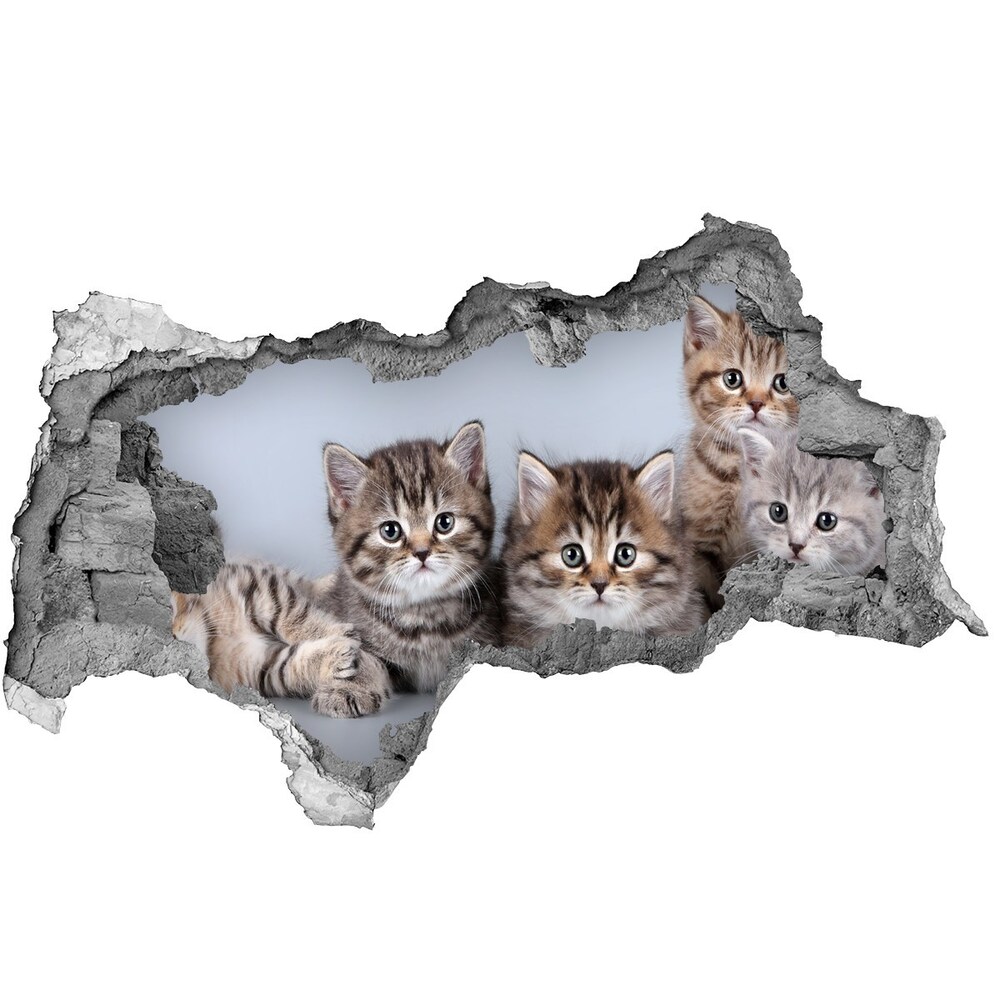 3d-s lyukat fali matrica Öt macskák