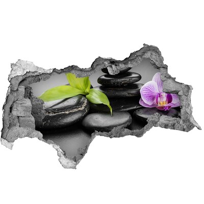 3d-s lyukat fali matrica Pihentető kilátás kövekkel és növényekkel