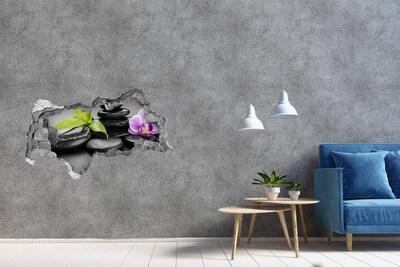 3d-s lyukat fali matrica Pihentető kilátás kövekkel és növényekkel