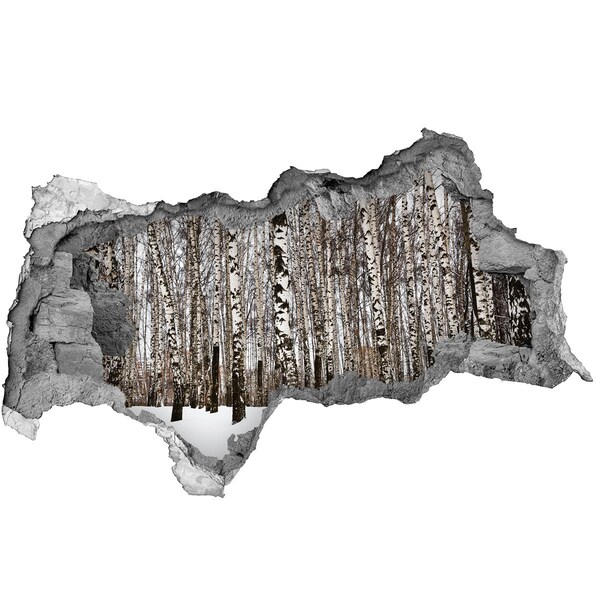 3d-s lyukat fali matrica Téli nyírfaerdő