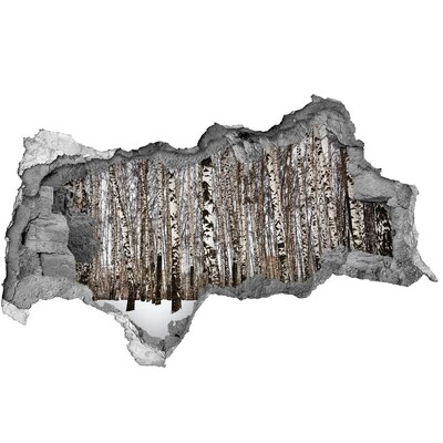 3d-s lyukat fali matrica Téli nyírfaerdő