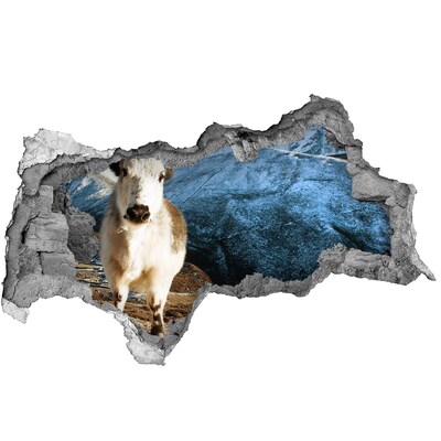 3d-s lyukat fali matrica Hegyi bivaly egy lyukban a falban