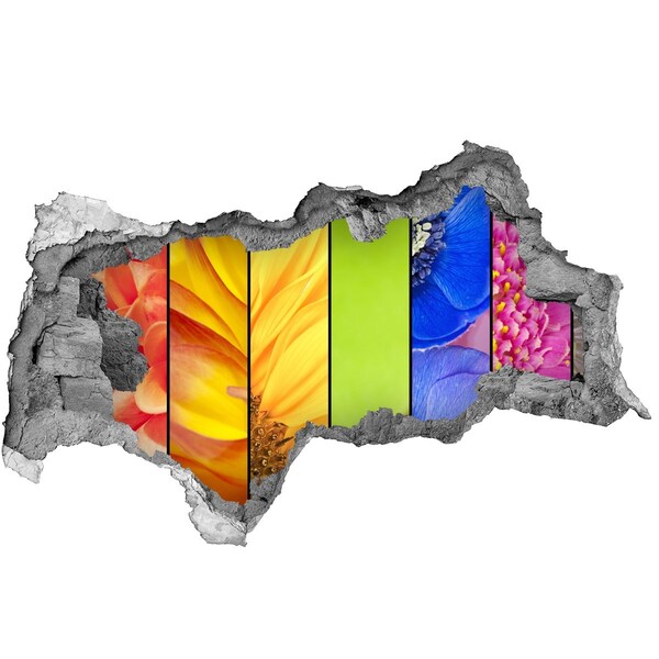 3d-s lyukat fali matrica Színes virágok