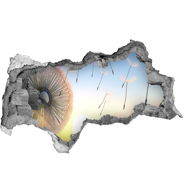 3d-s lyukat fali matrica Pitypangok a naplemente hátterében