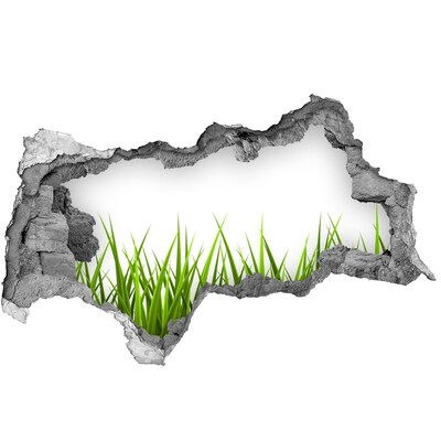 3d-s lyukat fali matrica Zöld rét a fal mögött