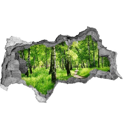 3d-s lyukat fali matrica Nyírfa erdő