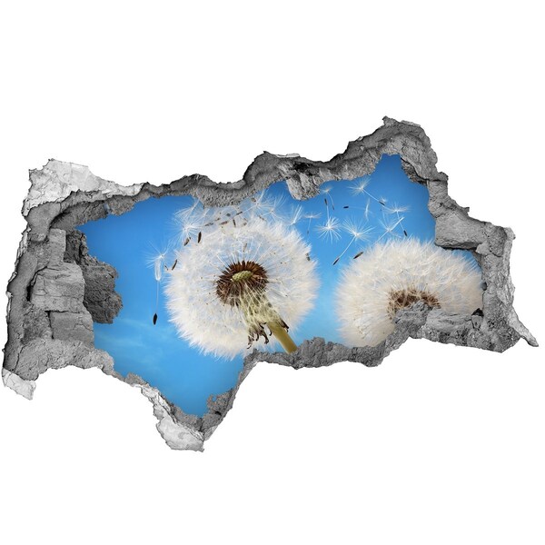 3d-s lyukat fali matrica Pitypangok a kék égen