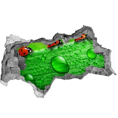 3d-s lyukat fali matrica Egy csepp harmat a levélen