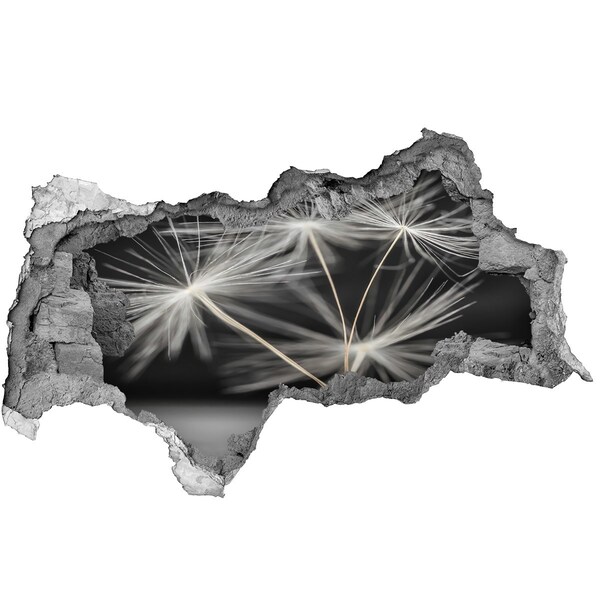 3d-s lyukat fali matrica Pitypang virágok betonban