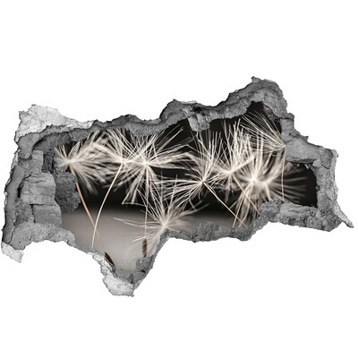 3d-s lyukat fali matrica Pitypang álom