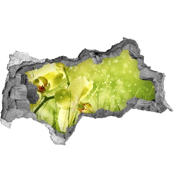 3d-s lyukat fali matrica Virágos oázis a zöldben