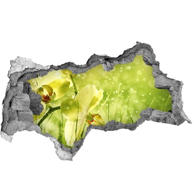 3d-s lyukat fali matrica Virágos oázis a zöldben