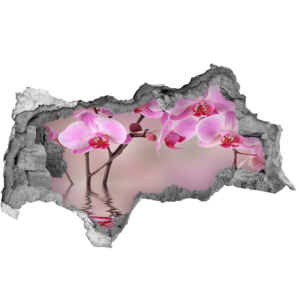 3d-s lyukat fali matrica Rózsaszín orchidea