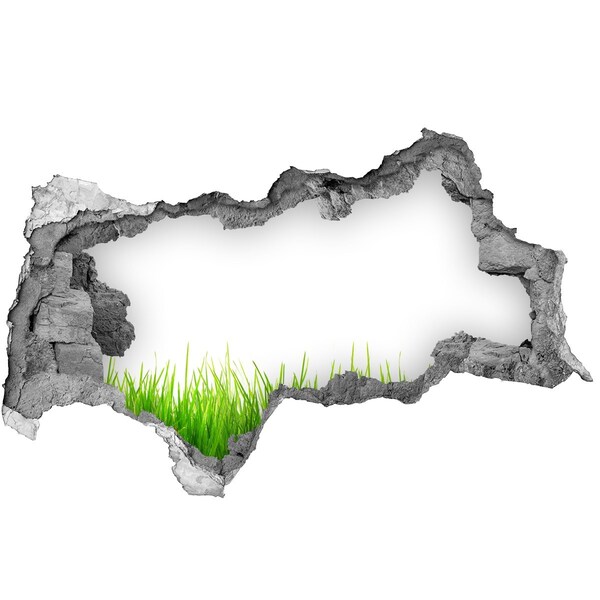 3d-s lyukat fali matrica Zöld rét a fal mögött