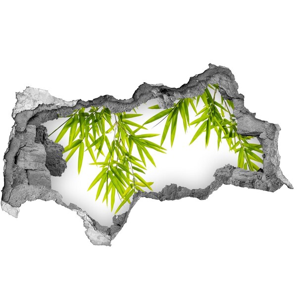 3d-s lyukat fali matrica Zöld bambusz egy lyukon keresztül a falon