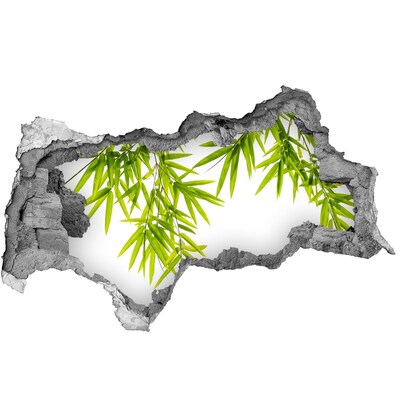 3d-s lyukat fali matrica Zöld bambusz egy lyukon keresztül a falon