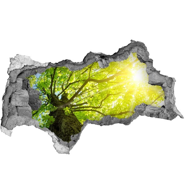 3d-s lyukat fali matrica Zöld erdő a nap sugaraiban