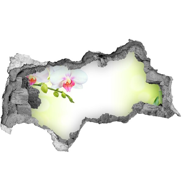 Lyuk 3d fali matrica Orchidea virágok a bambuszkertben