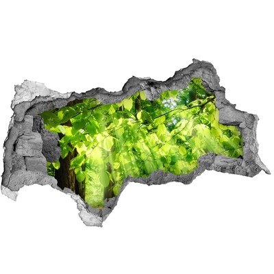 Lyuk 3d fali matrica Zöld erdő a nap sugaraiban