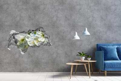 Lyuk 3d fali matrica Virágparadicsom a fal mögött