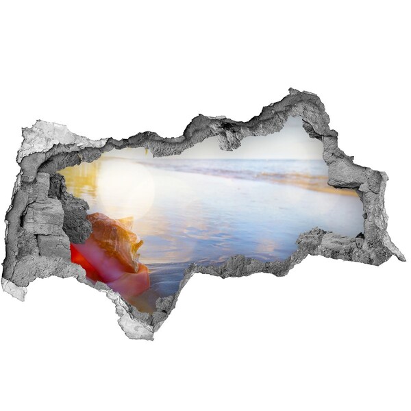 Lyuk 3d fali matrica Trópusi tengerpart kagylókkal