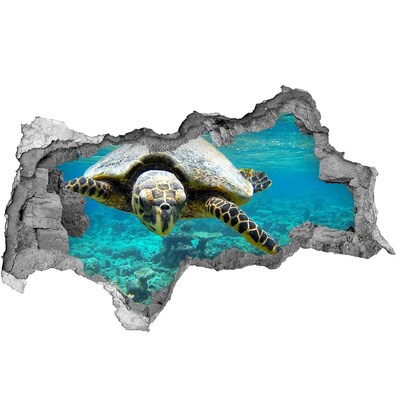 Lyuk 3d fali matrica Tengeri teknős