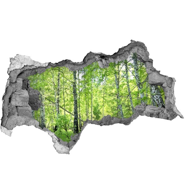 Lyuk 3d fali matrica Zöld erdő a napfényben